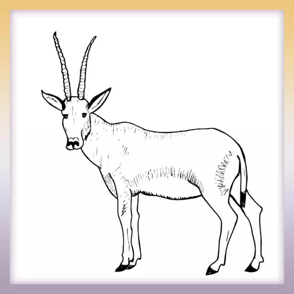 Antilopa | Online omaľovánka