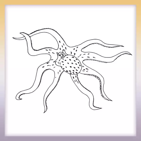 Chobotnica | Online omaľovánka