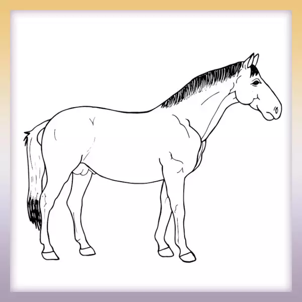Kôň | Online omaľovánka