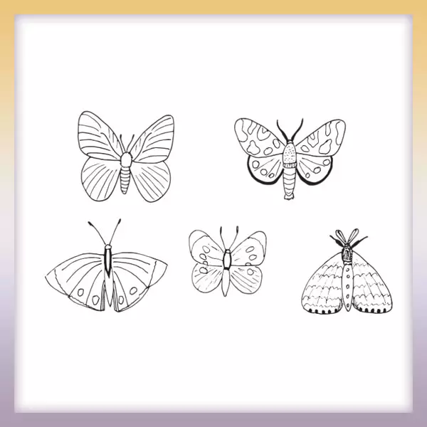 Zbierka motýľov | Online omaľovánka