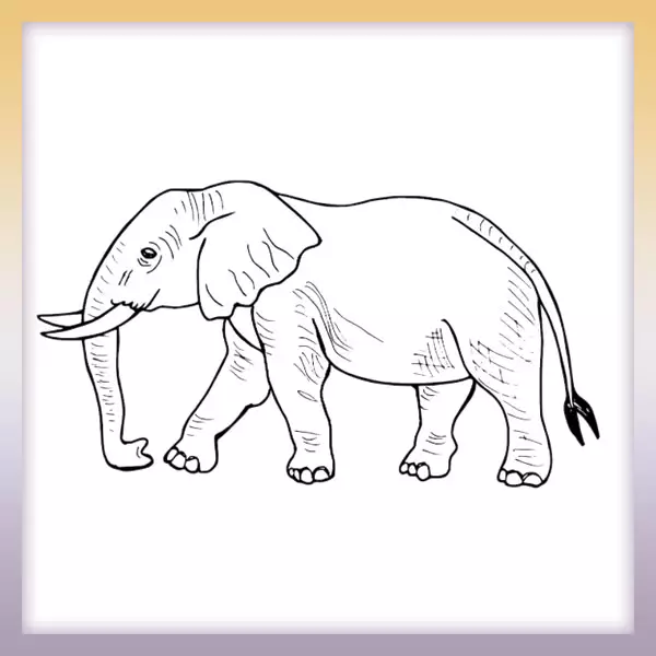 Slon | Online omaľovánka