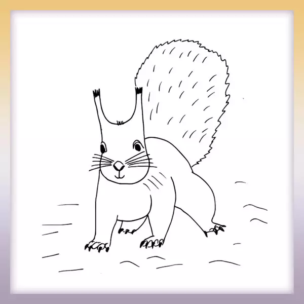 Veverička | Online omaľovánka