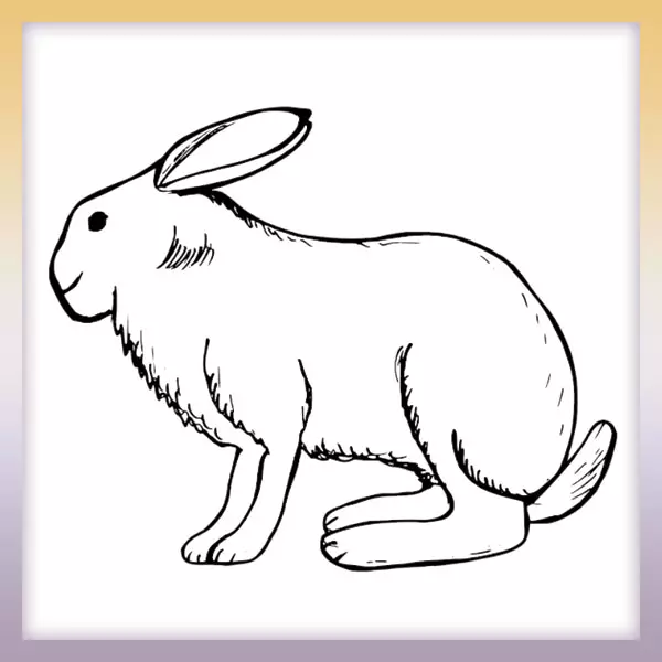 Zajac | Online omaľovánka