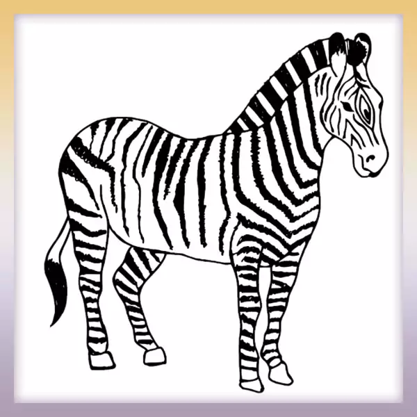 Zebra | Online omaľovánka